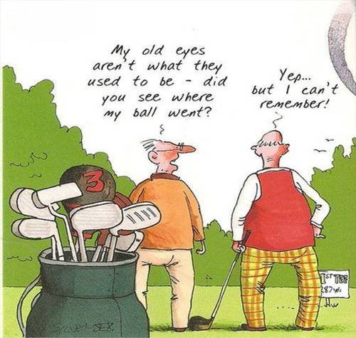 Golfinder: Golf Cartoons